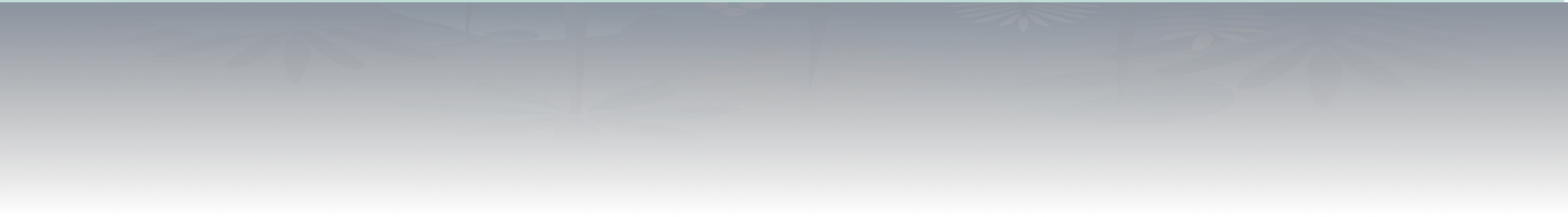 Vocabu hero illustration 2